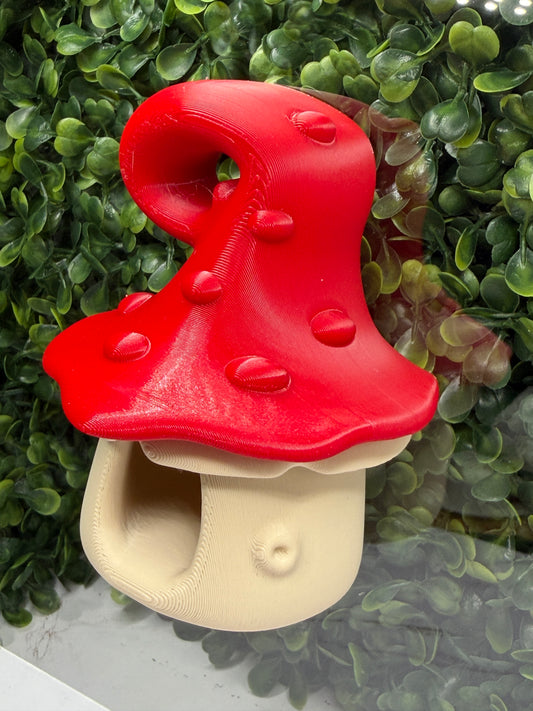 Magnetic Cottage Spider Hide for Jumping Spider Enclosures