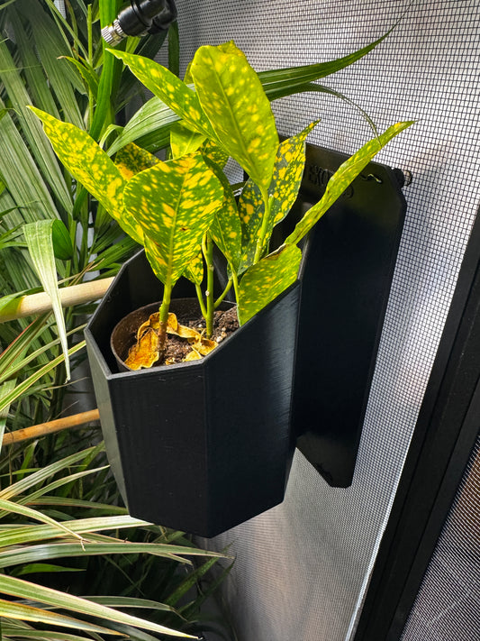 Modern Plant Holder – Sleek Mountable Planter for Reptile & Chameleon Enclosures