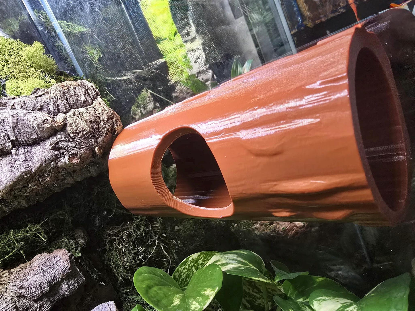 Magnetic Log Hide for Reptiles & Geckos