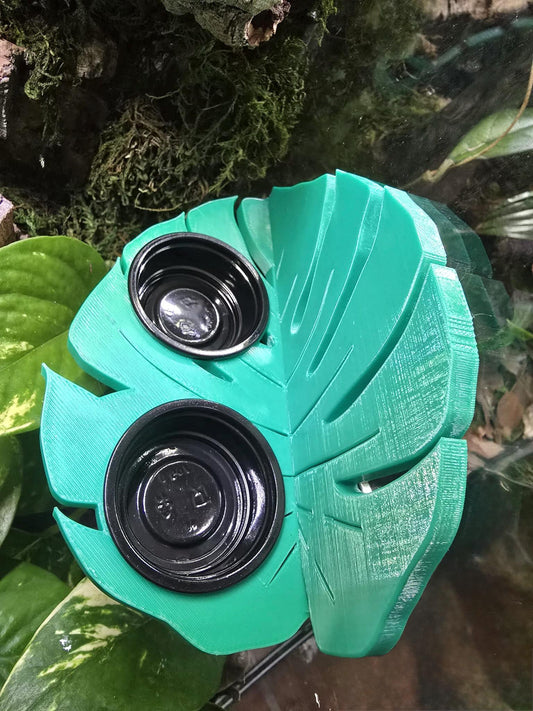 Magnetic Monstera Leaf Feeding Ledge for Reptiles 30 pack