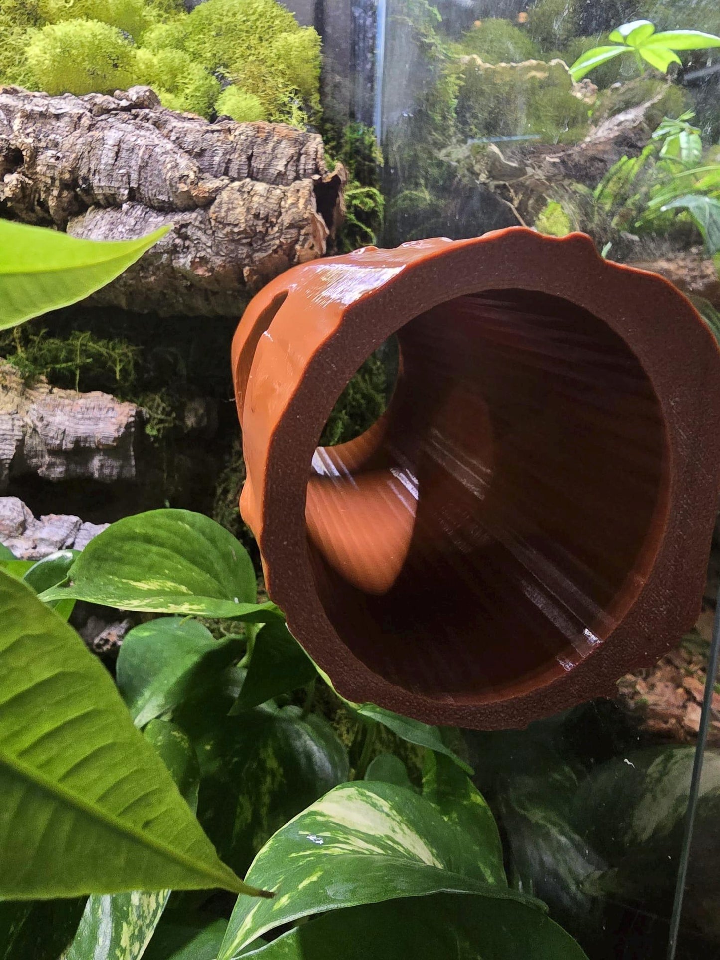 Magnetic Log Hide for Reptiles & Geckos