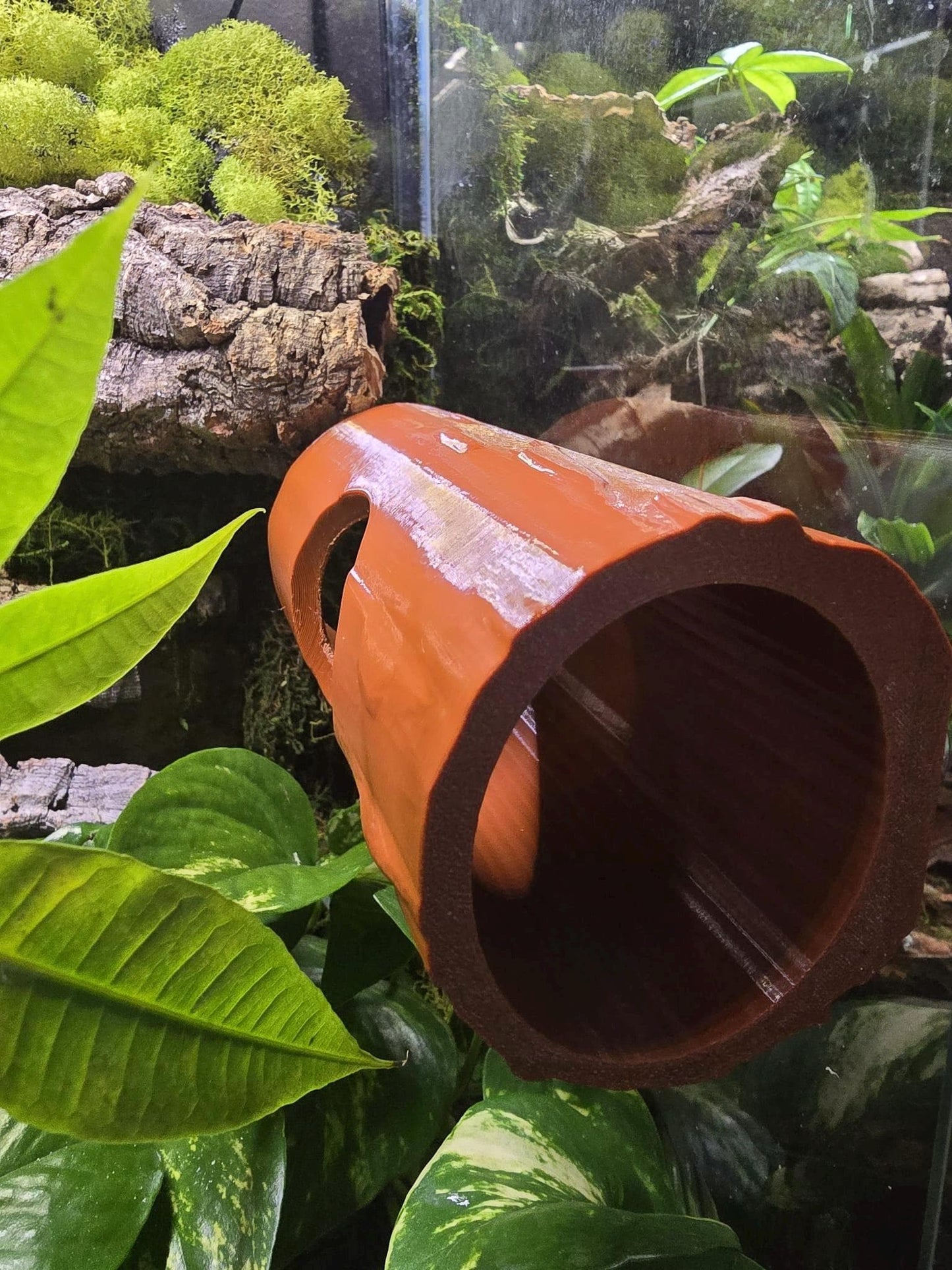 Magnetic Log Hide for Reptiles & Geckos