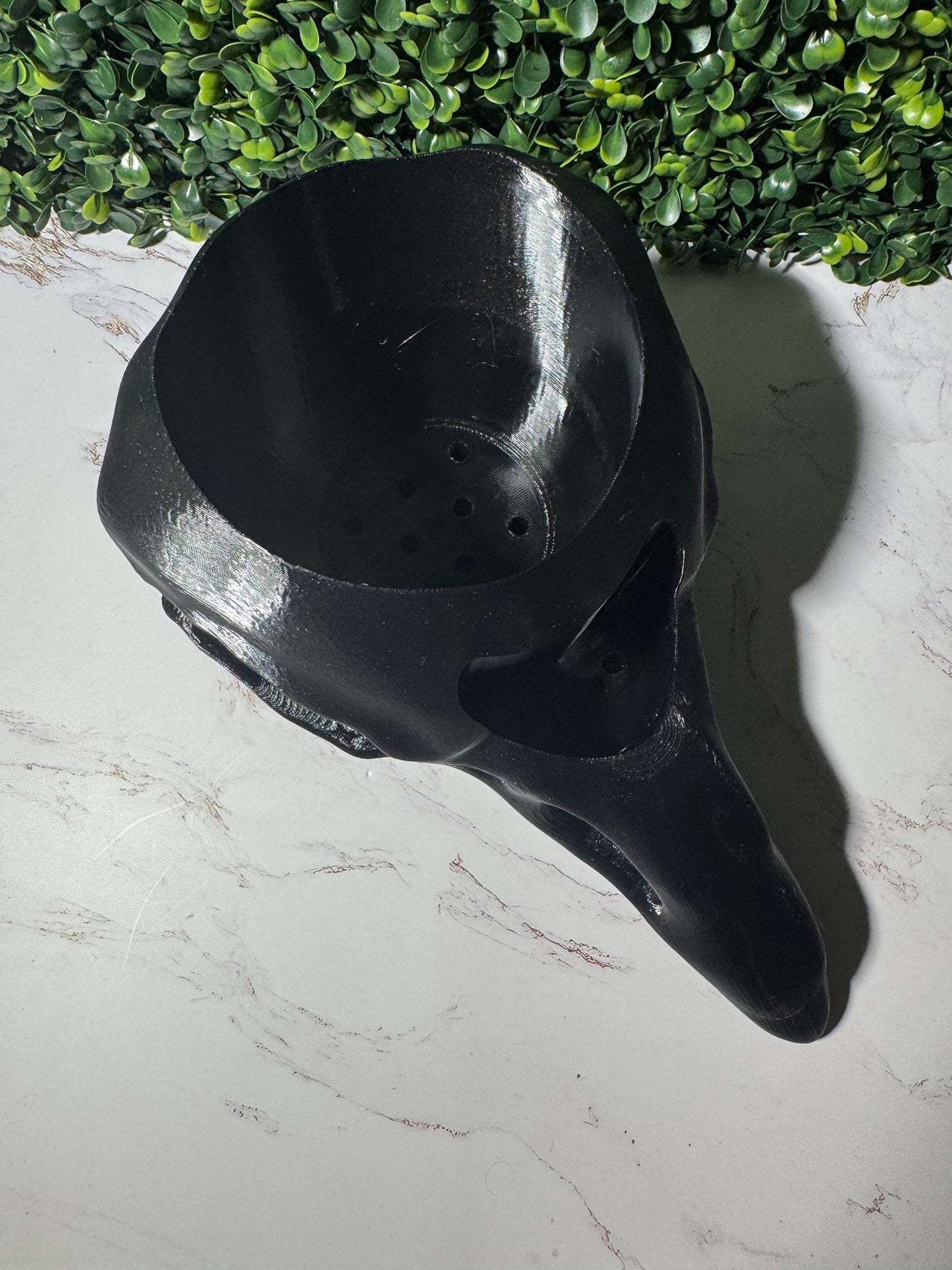 Raven Skull Planter w/ Drip Tray
