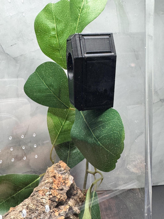 Coffin Magnetic Spider Hide | 3D Printed Tarantula & Invertebrate Enclosure Décor | Gothic Reptile or Arachnid Hideout