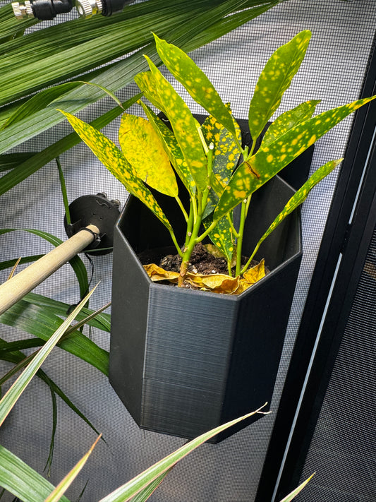 Modern Plant Holder – Sleek Mountable Planter for Reptile & Chameleon Enclosures