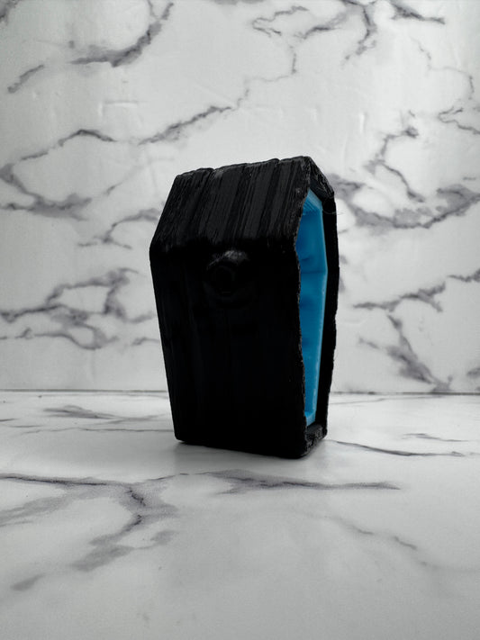 Magnetic Coffin Jumping Spider Hide | Gothic Enclosure Decor for Jumping Spiders