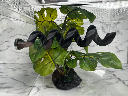 Spiral Magnetic Spider Accessory | 3D Printed Enclosure Climbing Decor for Jumping Spiders