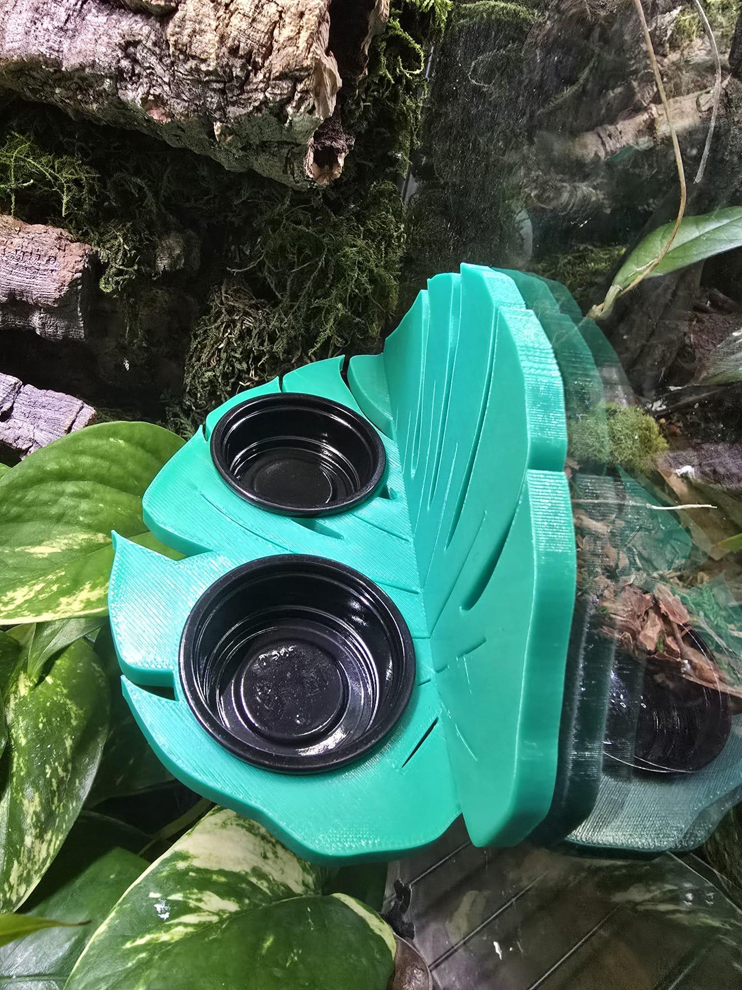 Magnetic Monstera Leaf Feeding Ledge for Reptiles | Includes 2 (0.5oz) Cups