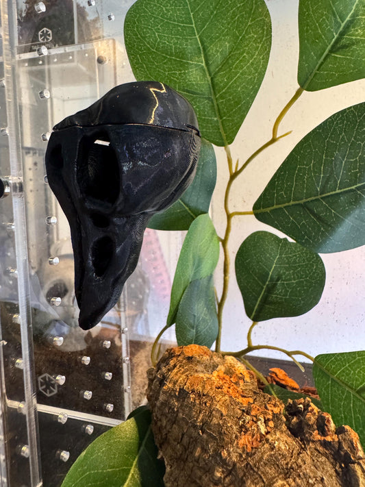 Raven Skull Spider Hide | 3D Printed Terrarium Decor | Arboreal & Terrestrial Hide